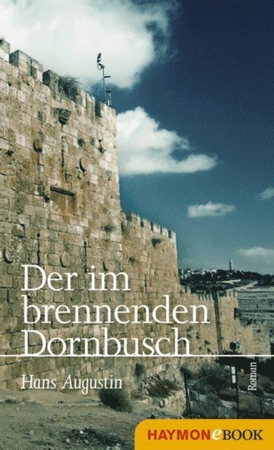 Hans Augustin - Der im brennenden Dornbusch, E-bok