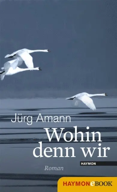 Jurg Amann - Wohin denn wir, E-bok. Tillgänglighet: Lägg i varukorg