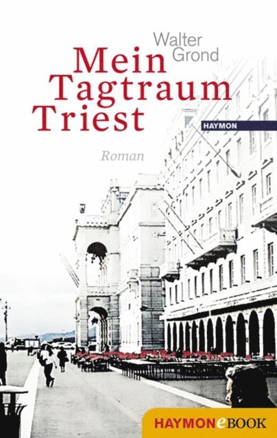 Walter Grond - Mein Tagtraum Triest, E-bok