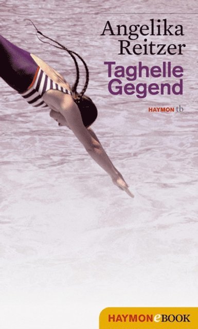Angelika Reitzer - Taghelle Gegend, E-bok