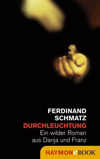 Ferdinand Schmatz - Durchleuchtung, E-bok