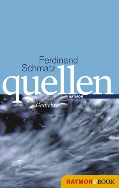 Ferdinand Schmatz - quellen, E-bok