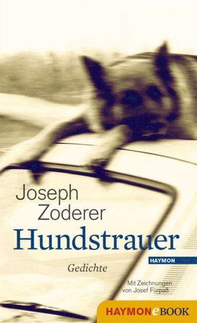 Joseph Zoderer - Hundstrauer, E-bok. Tillgänglighet: Lägg i varukorg