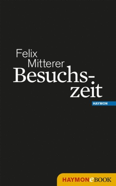 Felix Mitterer - Besuchszeit, E-bok