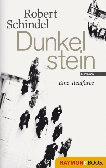 Robert Schindel - Dunkelstein, E-bok