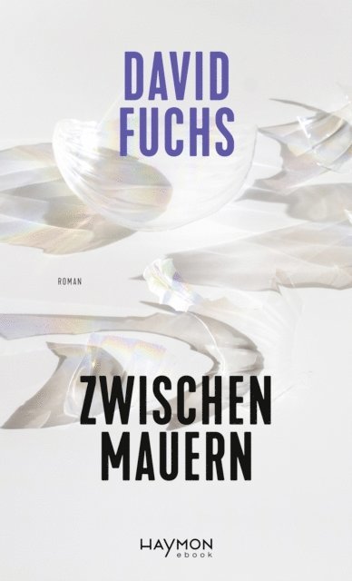 David Fuchs - Zwischen Mauern, E-bok
