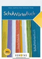 Wolfgang Pramper, Christian Schacherreiter - Deutschstunde 5.- 8. Schulstufe. SchulWörterBuch NMS / AHS, Inbunden