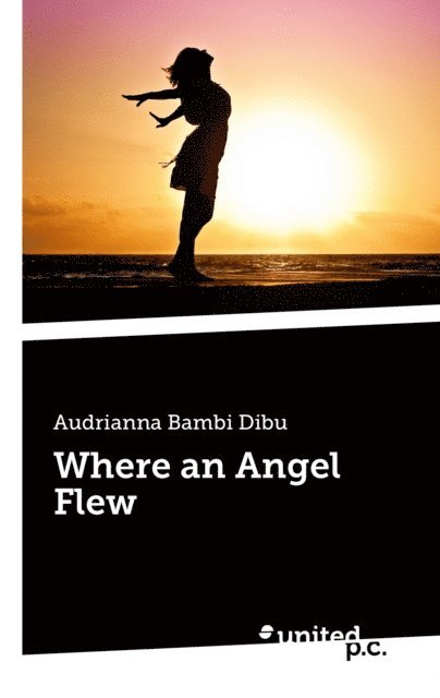 Audrianna Bambi Dibu - Where an Angel Flew, E-bok