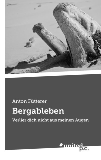 Anton Futterer - Bergableben, E-bok