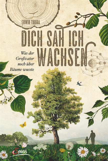 Erwin Thoma - Dich sah ich wachsen, E-bok