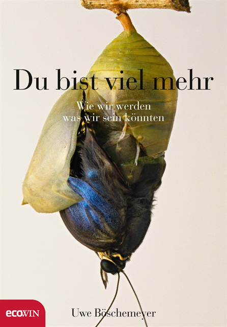 Uwe Boschemeyer - Du bist viel mehr, E-bok
