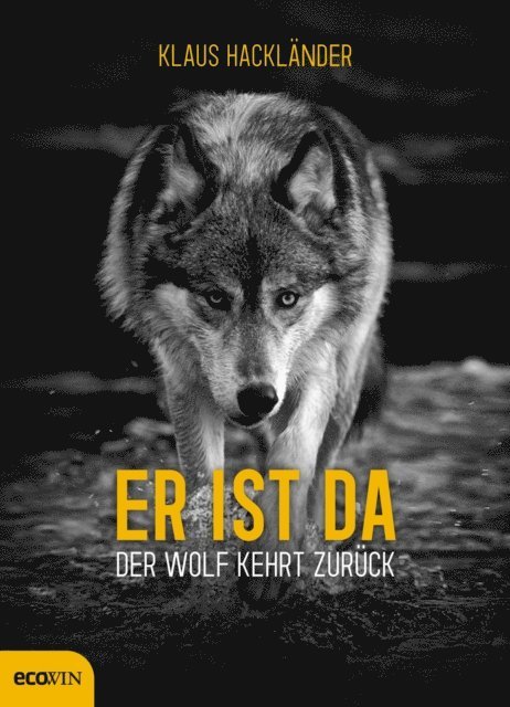Klaus Hacklander - Er ist da, E-bok