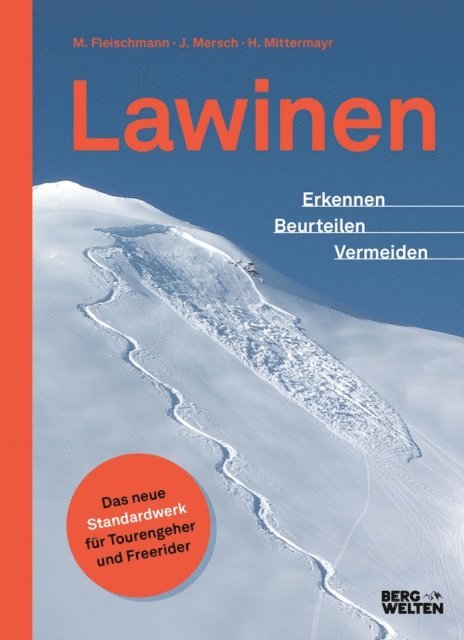 Helmut Mittermayer, Markus Fleischmann, Jan Mersch - Lawinen, E-bok