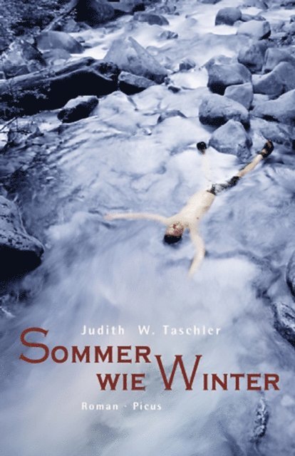 Judith W. Taschler - Sommer wie Winter, E-bok