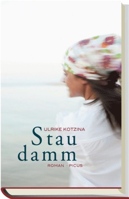 Ulrike Kotzina - Staudamm, E-bok