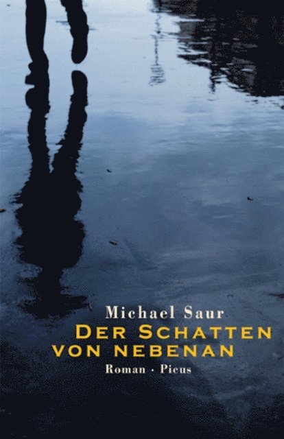 Michael Saur - Der Schatten von nebenan, E-bok