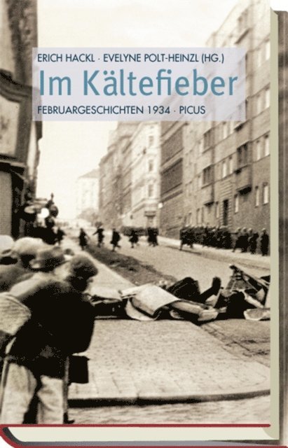 Evelyne Polt-Heinzl, Erich Hackl - Im Kältefieber, E-bok