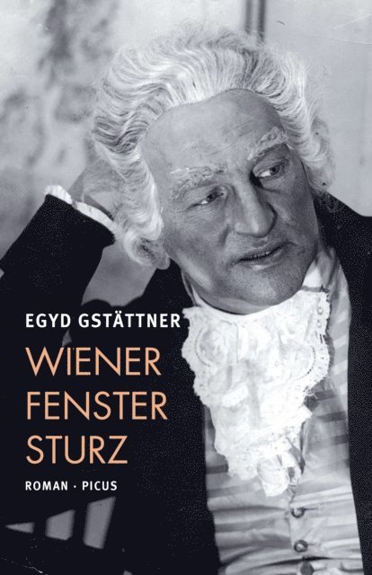 Egyd Gstattner - Wiener Fenstersturz, E-bok