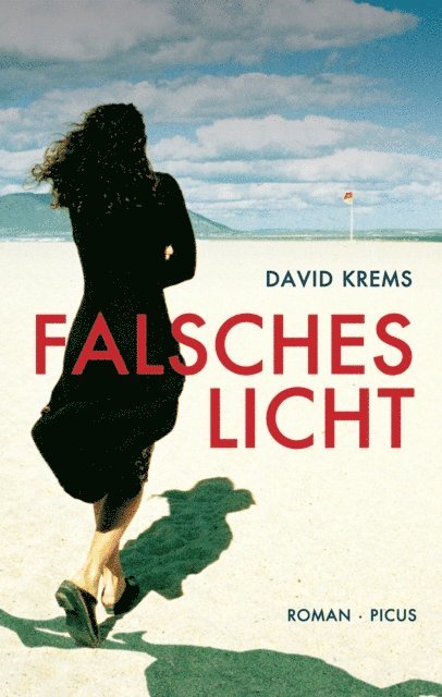 David Krems - Falsches Licht, E-bok