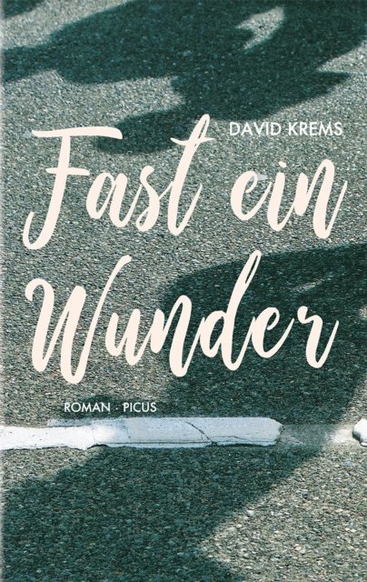 David Krems - Fast ein Wunder, E-bok