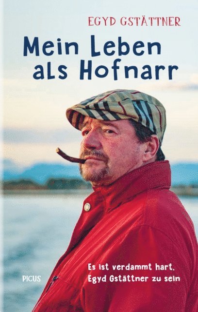 Egyd Gstattner - Mein Leben als Hofnarr, E-bok