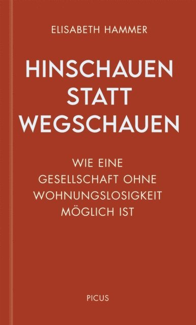 Elisabeth Hammer - Hinschauen statt wegschauen, E-bok