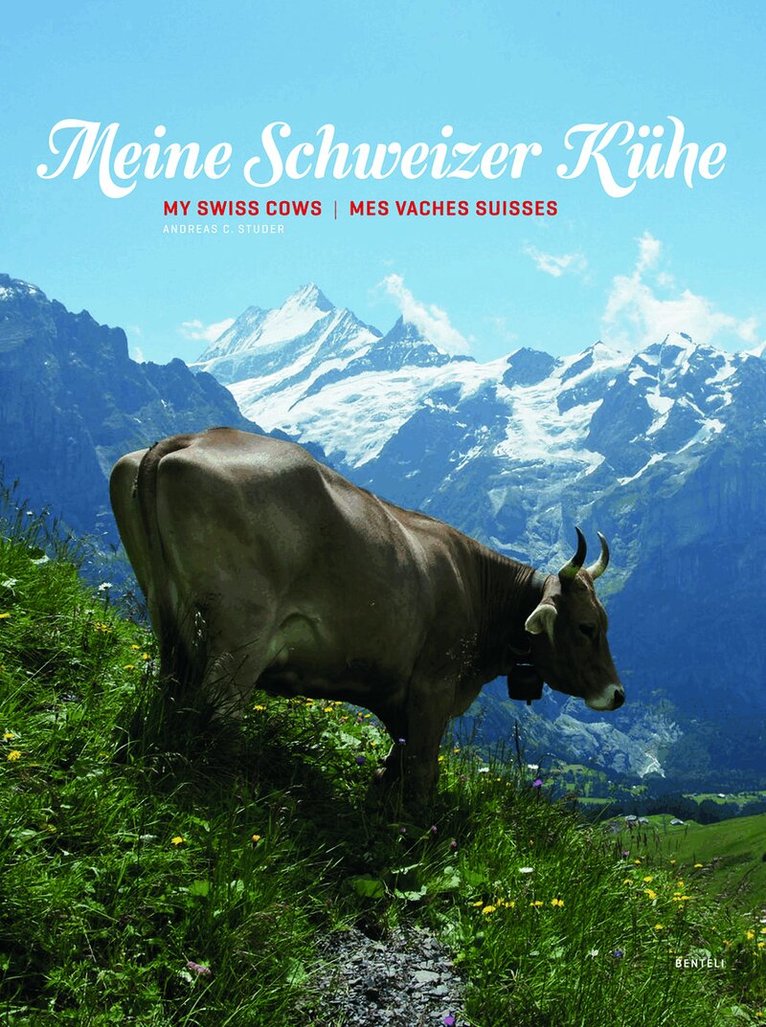 My Swiss Cows