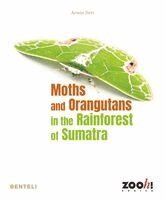 Armin Dett - Moths and Orangutans in the Rainforest of Sumatra, Inbunden. Tillgänglighet: Kommande