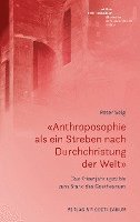 Peter Selg - «Anthroposophie als ein Streben nach Durchchristung der Welt», Häftad