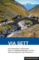 Irene Schuler - Wanderführer Via Sett, Häftad