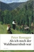 Peter Rosegger - Als ich noch der Waldbauernbub war, Inbunden