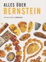 Ambertop - Alles über Bernstein, Häftad