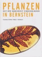 Ambertop, Carsten Gröhn - Pflanzen in Bernstein, Inbunden