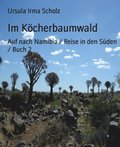 Im Köcherbaumwald
