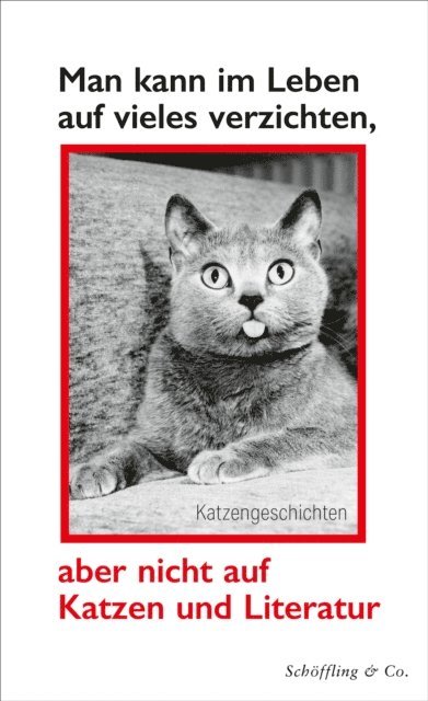 Julia Bachstein - Man kann im Leben auf vieles verzichten, aber nicht auf Katzen und Literatur, E-bok