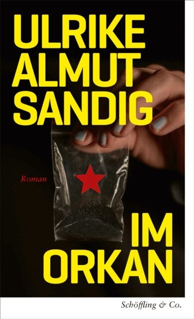 Ulrike Almut Sandig - Im Orkan, E-bok