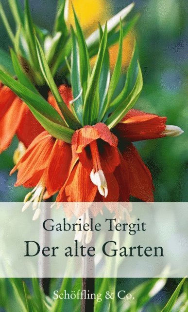 Gabriele Tergit - Der alte Garten, E-bok