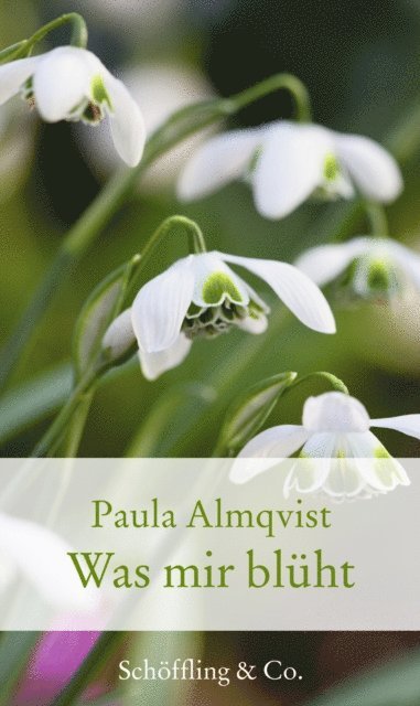 Paula Almqvist - Was mir blüht, E-bok