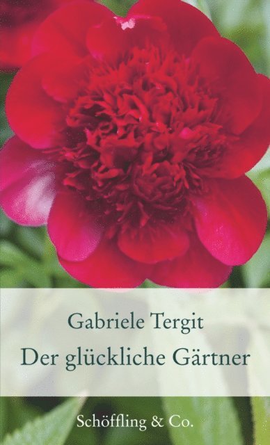 Gabriele Tergit - Der glückliche Gärtner, E-bok