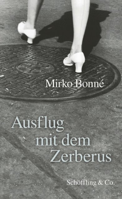 Mirko Bonne - Ausflug mit dem Zerberus, E-bok