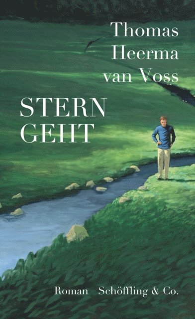 Thomas Heerma van Voss - Stern geht, E-bok
