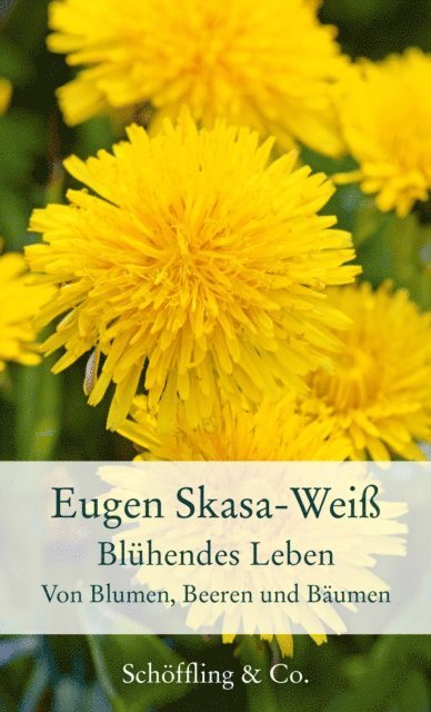 Eugen Skasa-Wei - Blühendes Leben, E-bok