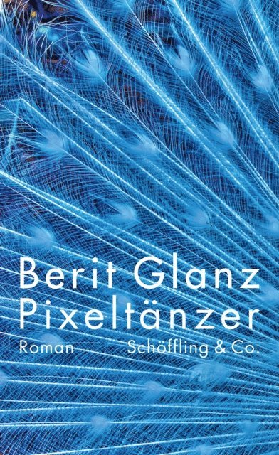 Berit Glanz - Pixeltänzer, E-bok