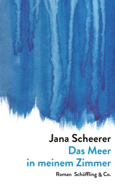 Jana Scheerer - Das Meer in meinem Zimmer, E-bok