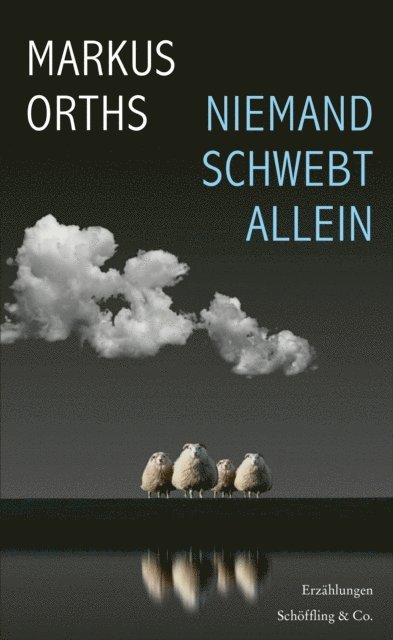 Markus Orths - Niemand schwebt allein, E-bok