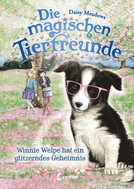Daisy Meadows, Sandra Margineanu - Die magischen Tierfreunde (Band 10) - Winnie Welpe hat ein glitzerndes Geheimnis, E-bok