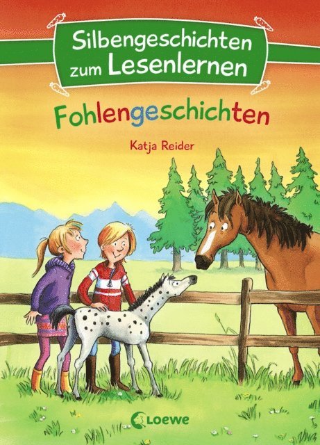 Katja Reider - Silbengeschichten zum Lesenlernen - Fohlengeschichten, E-bok