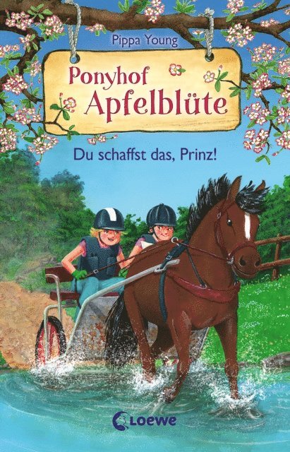 Pippa Young, Sandra Margineanu - Ponyhof Apfelblüte (Band 19) - Du schaffst das, Prinz!, E-bok