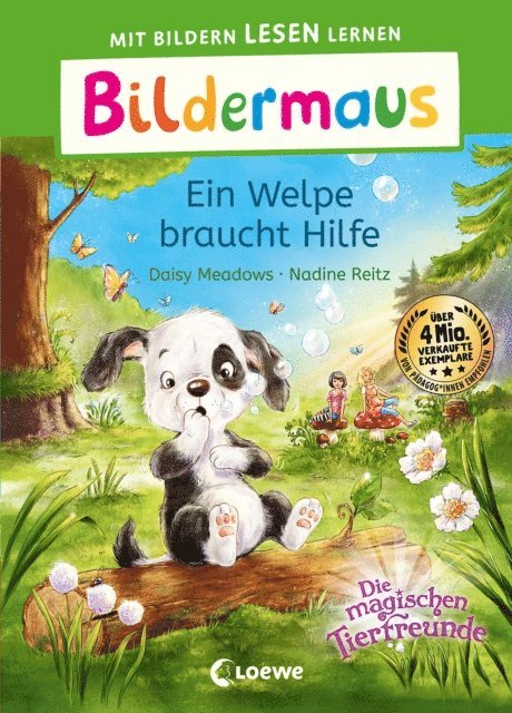 Daisy Meadows, Sandra Margineanu - Bildermaus - Ein Welpe braucht Hilfe, E-bok