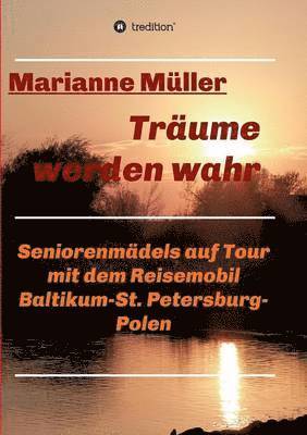 Marianne Müller - Träume werden wahr, Band 2, Häftad